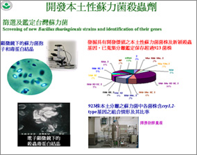 開發本土性蘇力菌殺蟲劑