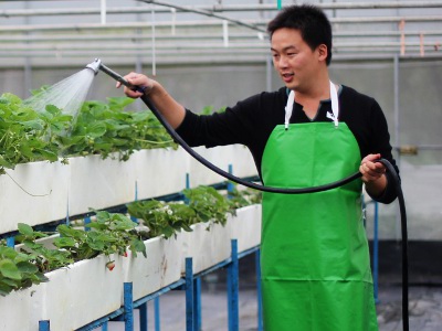 桃園大溪淼焱苗農場主人—陳威伸