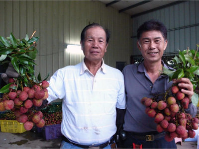 平林果樹（荔枝）產銷班班員—藍榮彬（右）與他的父親藍金木