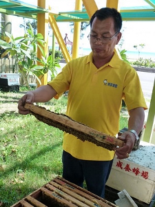 致力創新，追求優質蜂蜜蜂　陳生章