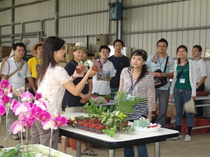 以蔬菜、花卉為特色的桃園區農業改良場，提供蔬菜、花卉等資訊服務（照片來源：農民學院）