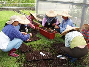 花蓮區農業改良場的有機農業初階班的上課情形