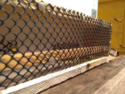 蜂箱外架設防護網可有效阻隔虎頭蜂的襲擊。
