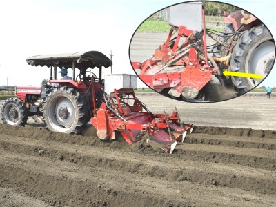 透過機械，作畦與施肥可以同步作業。