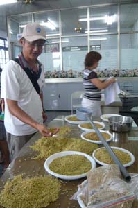 黃正雄在碾米廠檢視農民送過來的稻穀