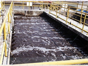三段式廢水處理系統-第3段好氣處理