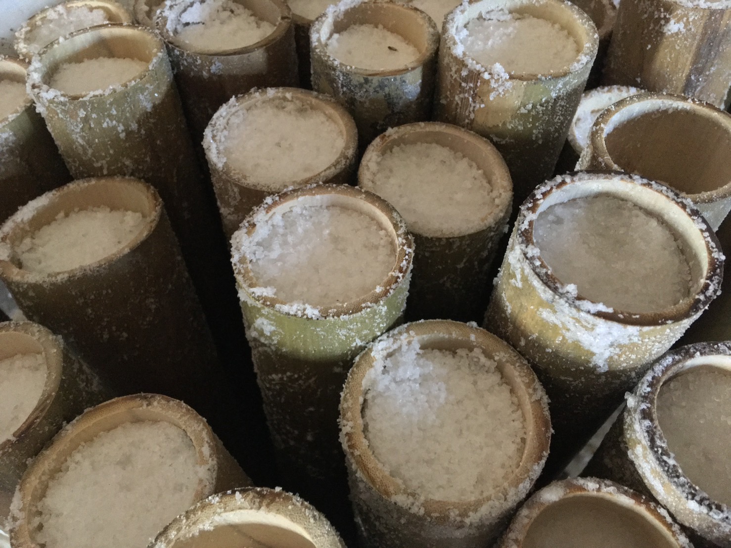 浦田竹鹽-產製中的竹鹽