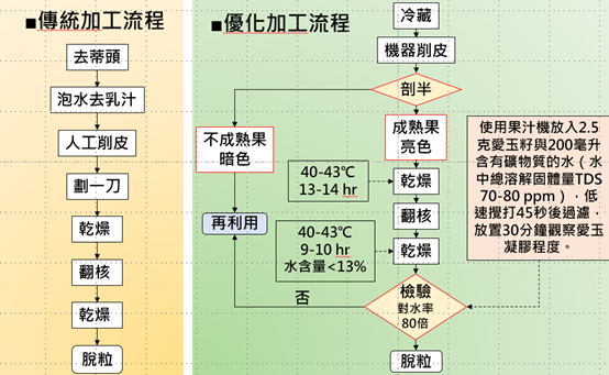 愛玉加工流程之優化
