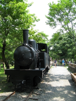 隨著花蓮平地森林的開幕，民眾只要靠著火車與鐵馬就可親近森林