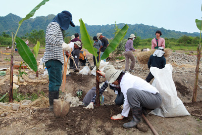  居民與志工以永續農業概念，打造「食物森林」