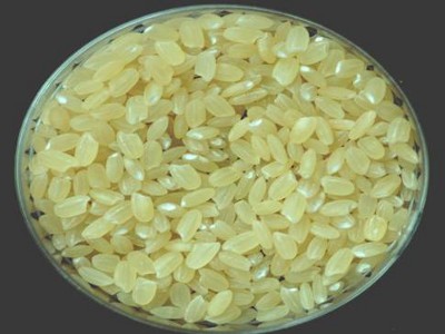 外觀黃色，稱為「黃金米」的「台農76號」品種（本圖由農業試驗所提供）