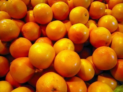象徵大吉大利的柑橘正是豐收季節（本圖由農業易遊網提供）